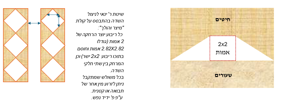 Book image 7
